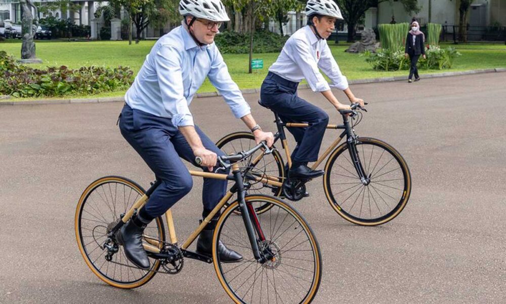 Bamboo Bikes