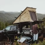 Cultural Improvement