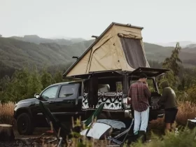 Cultural Improvement