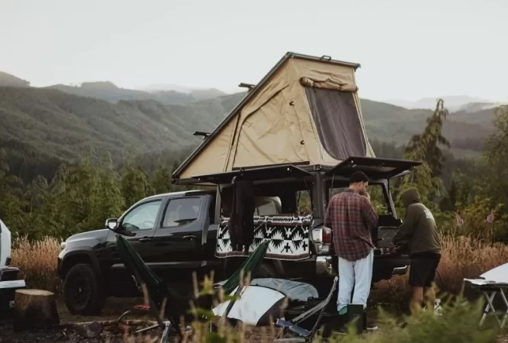 Cultural Improvement